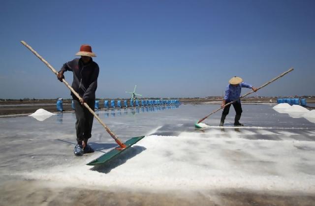 Produksi Garam Jawa Tengah Turun 50 Persen