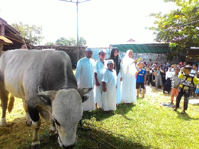 Sapi Presiden Kalah Besar dari Sapi Anggota DPRD Pekanbaru H Fatullah