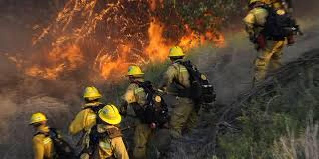 Damkar Siak Kerahkan Personil Padamkan Karlahut