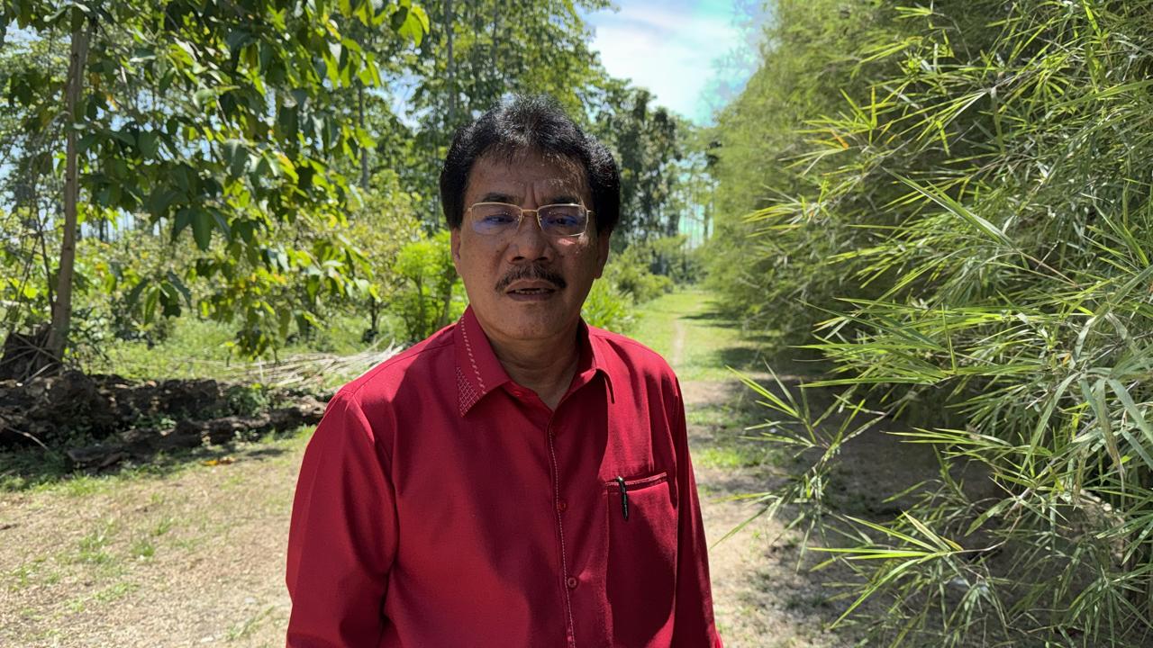 Tanggapi Video Bupati Siak, Begini Penjelasan APHI Riau