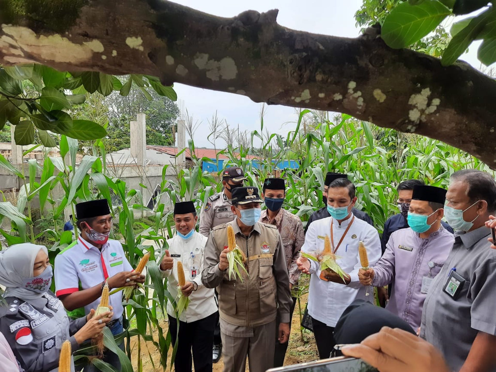 Meneropong 10 Tahun Kinerja Ketahanan Pangan ala Firdaus-Ayat …