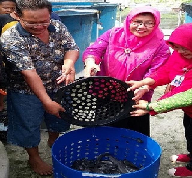El Syabrina: Bentuk Program Unggulan Sistem Biofolk