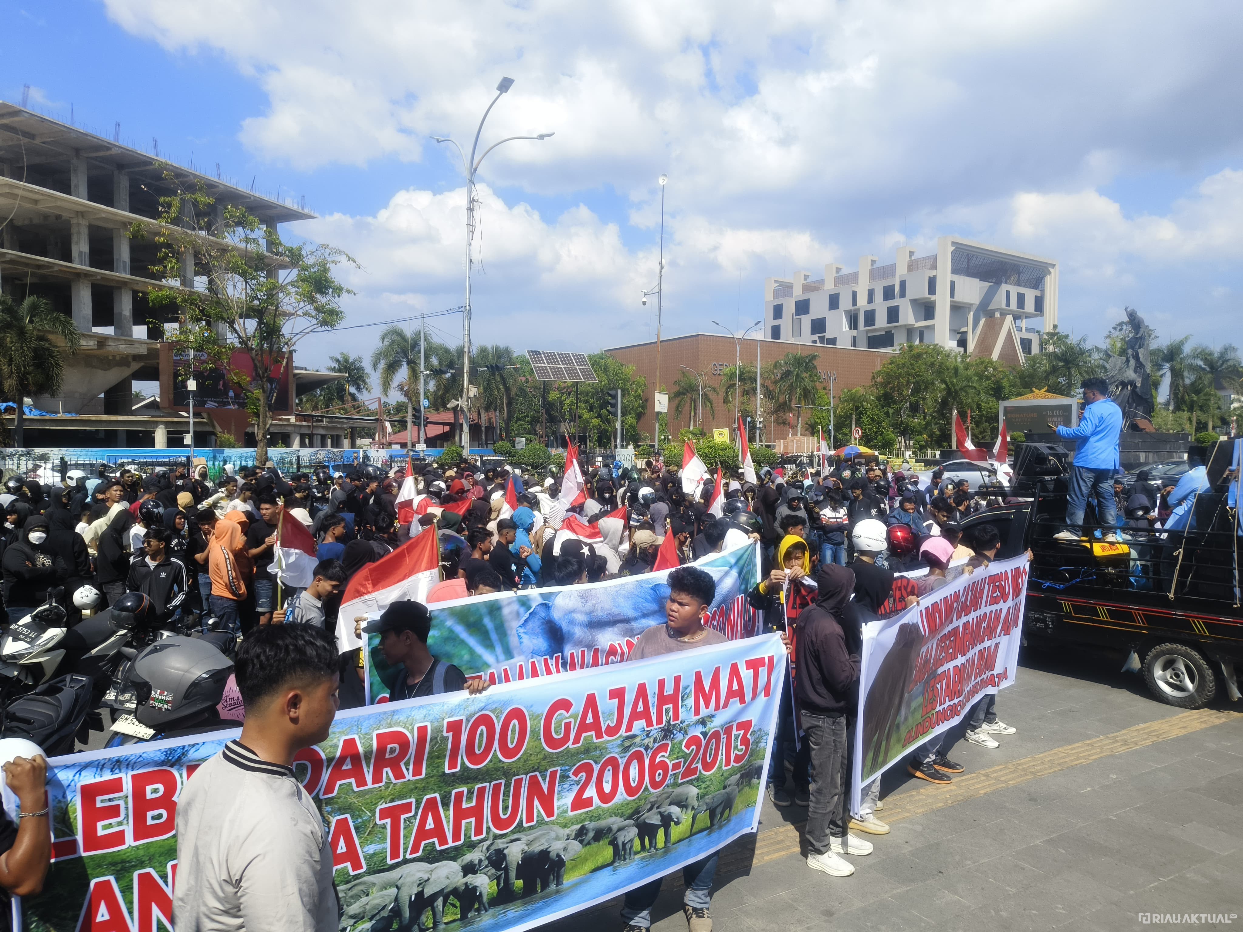 Aliansi Masyarakat Penyelamatan Gajah Dukung Satgas PKH Relokasi TNTN