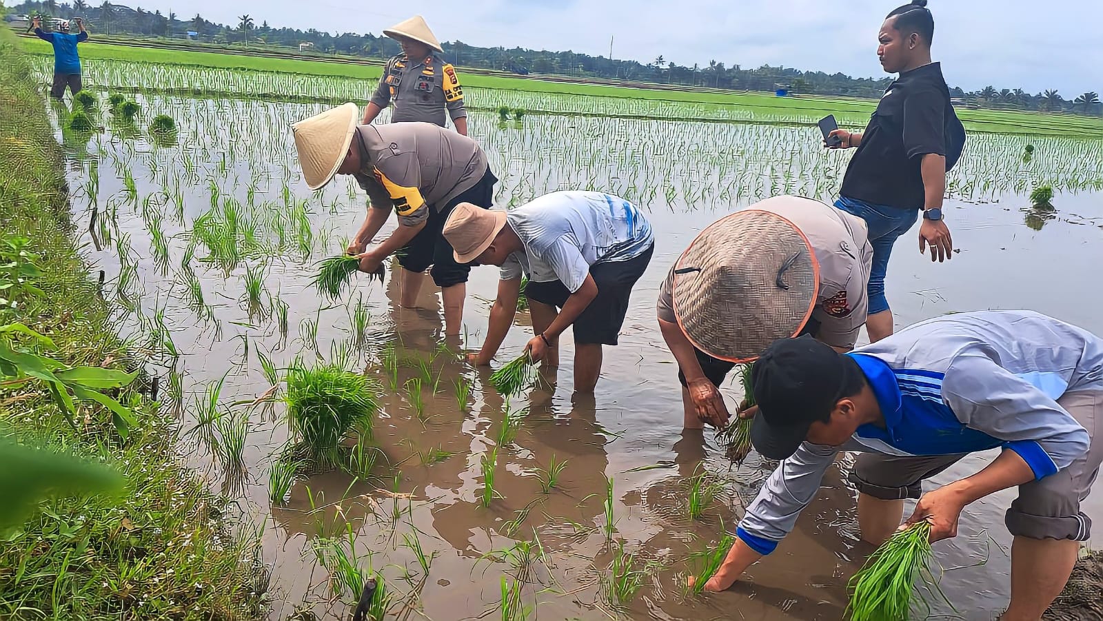 Kapolres Siak Turun ke Sawah Sambangi Petani Sampaikan Pesan Pemilu Damai