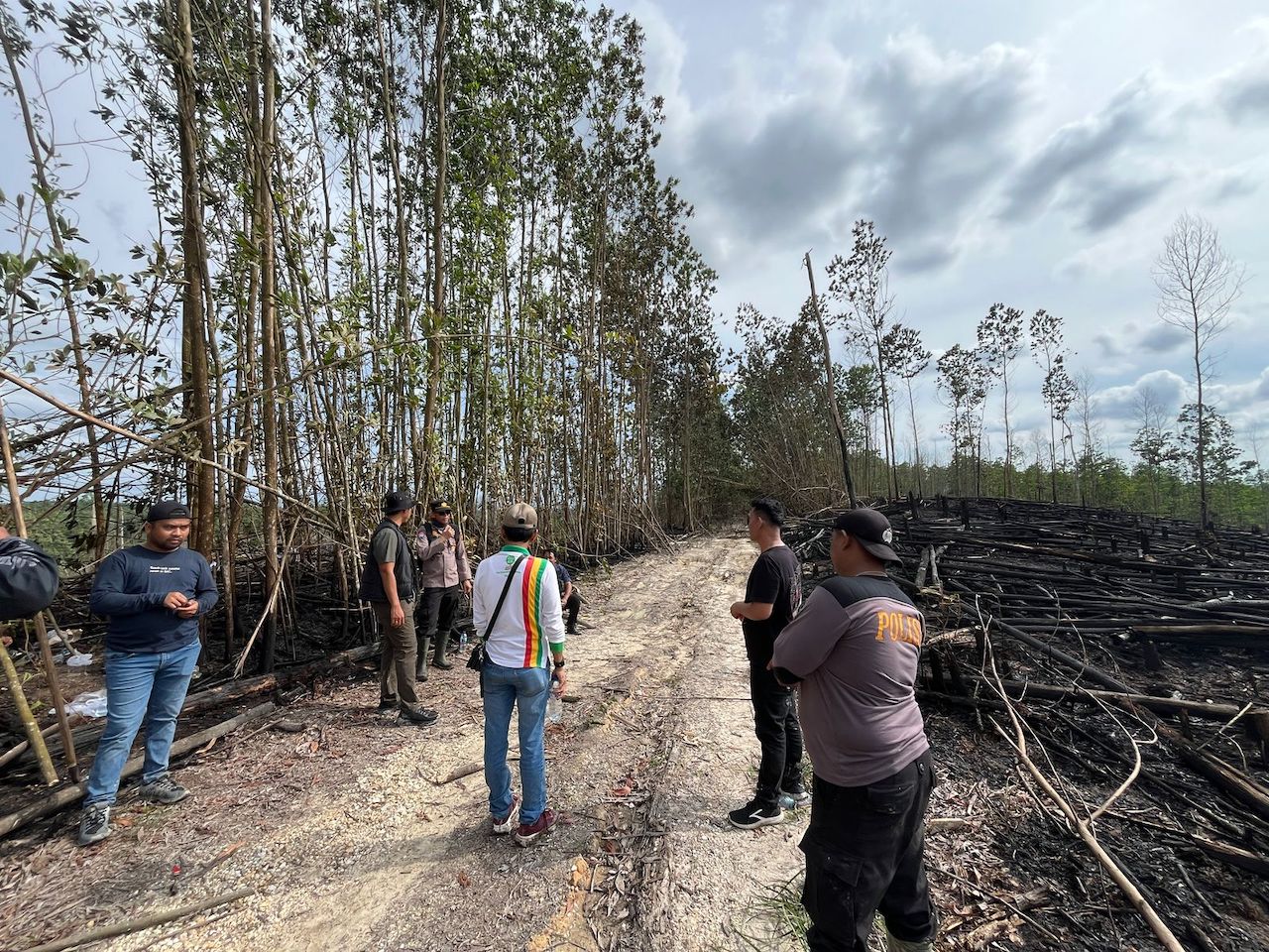 Polisi Pasang Police Line di TNTN Pelalawan, 5 Hektare Habitat Gajah dan Harimau Diduga Sengaja Dibakar