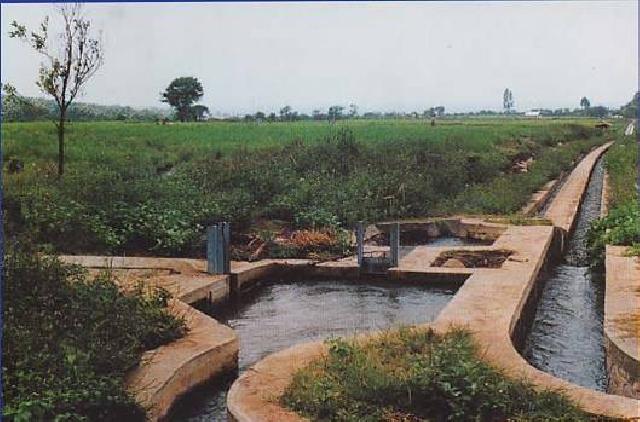 Warga Banjar Guntung Minta Pemkab Bangun Saluran Irigasi