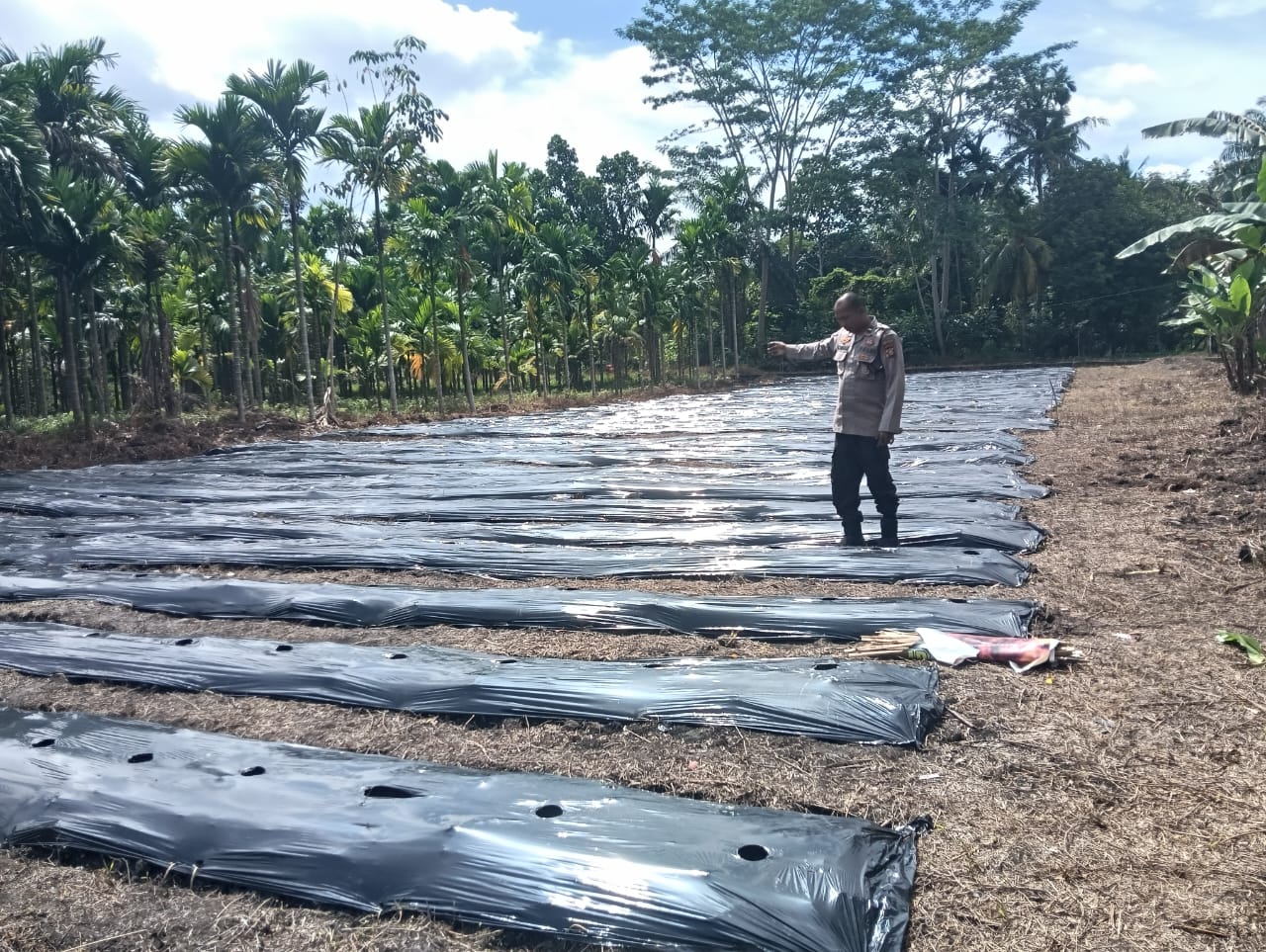 Polsek TPTM Lakukan Pendataan Ketahanan Pangan Keluarga Bergizi di Kepenghuluan Mesah