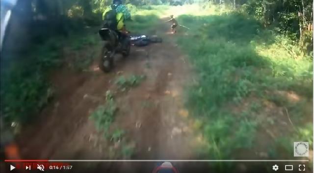 Mensos: lindungi suku Mante