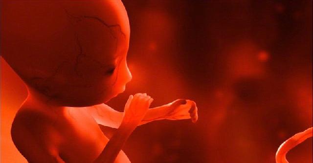 Alquran gambarkan proses terciptanya manusia jauh sebelum sains modern ada