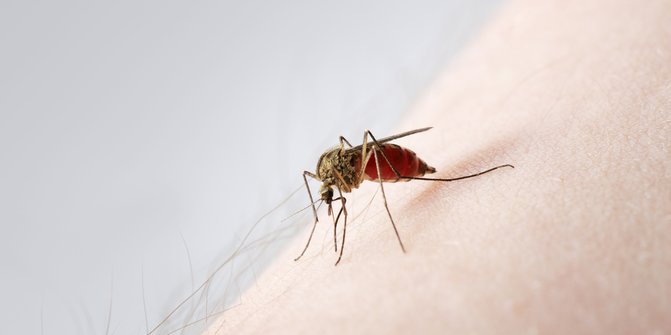 Berikut 6 Makanan yang Bisa Membuatmu Jadi Target Gigitan Nyamuk