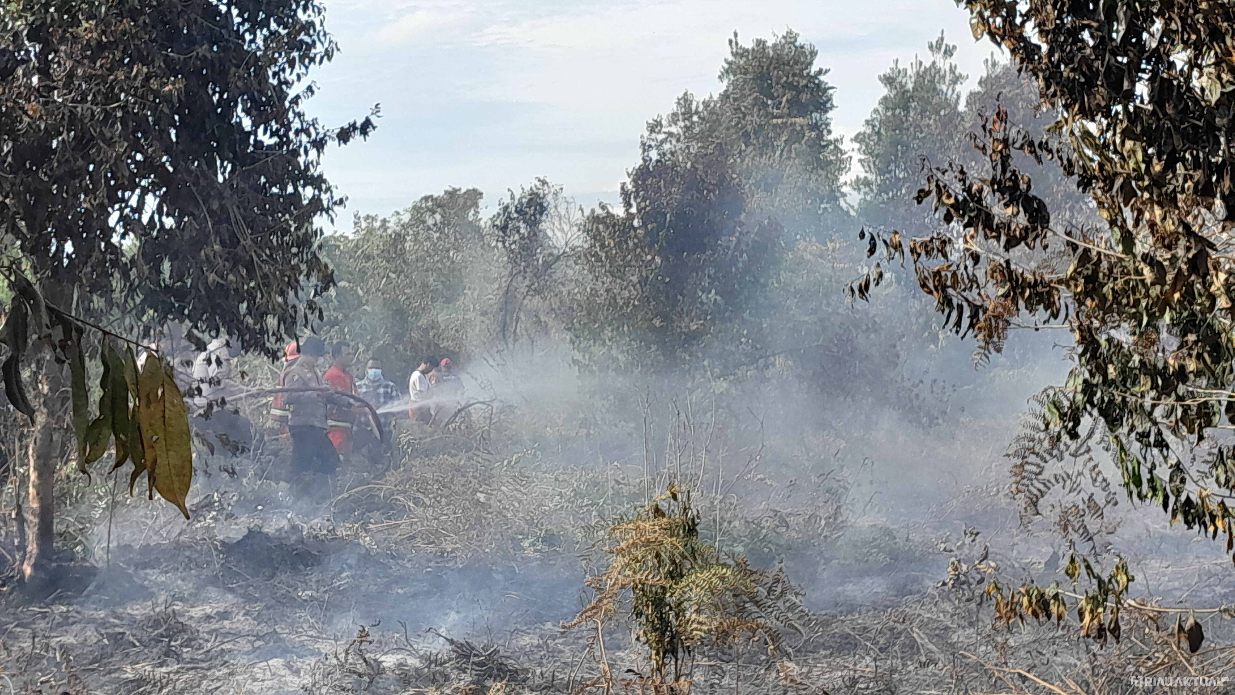 19 Titik Panas Terpantau di Riau, Bengkalis Terbanyak dengan 14 Titik