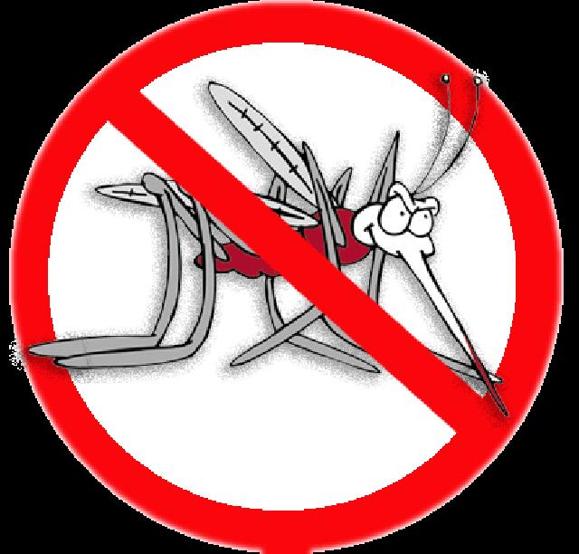 Baru Bulan Januari , Sudah 83 Warga Pekanbaru Terjangkit  DBD