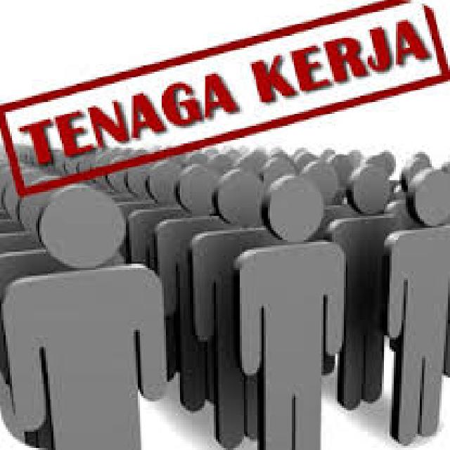 Rohil Bakal Optimalisasi Industri Hilir