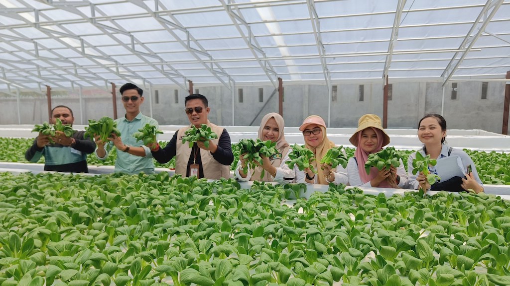 Disketapang Pekanbaru Tinjau Kandis Green Farm untuk Memastikan Ketersediaan Sayuran