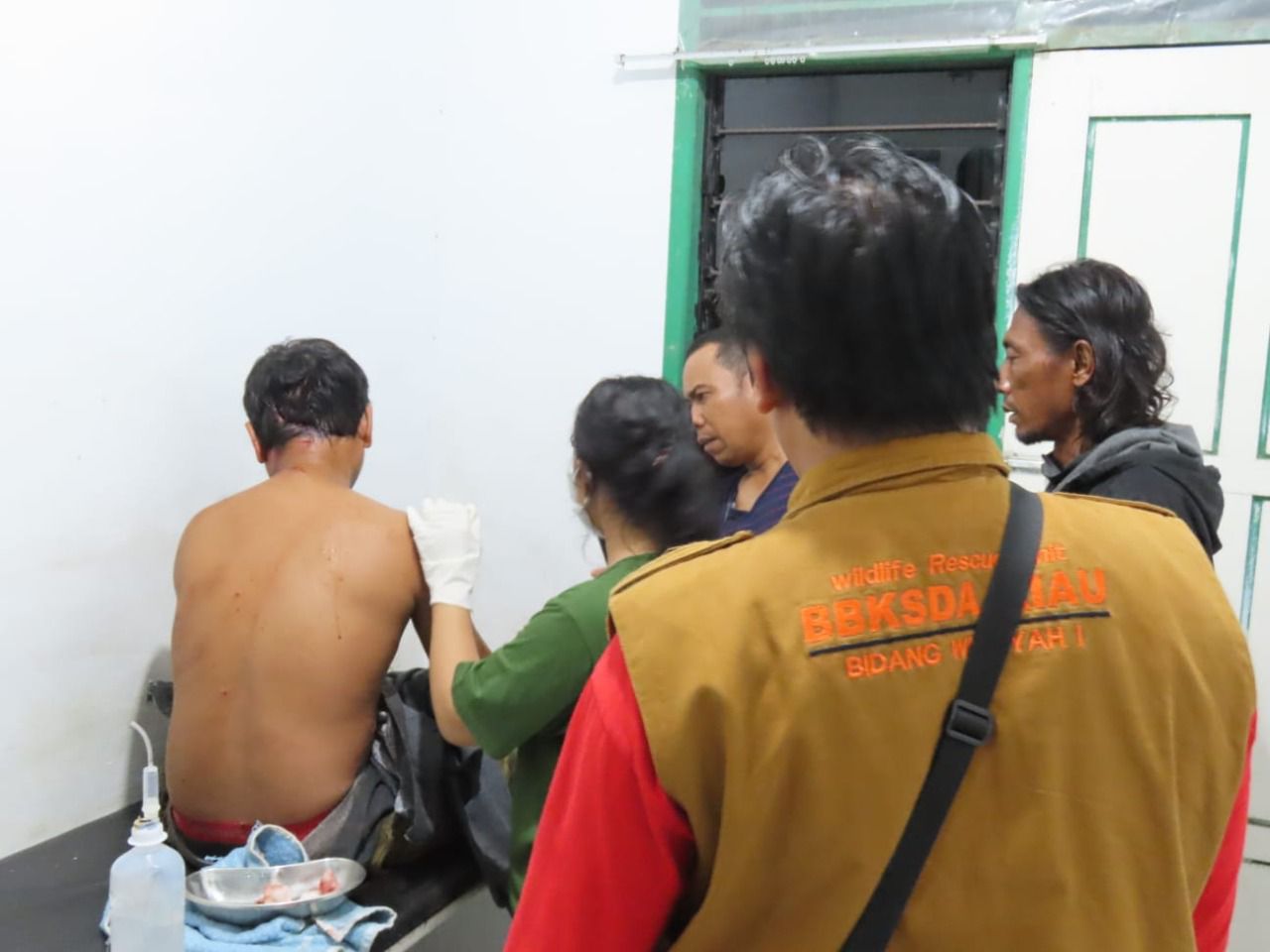 Buang Air Kecil di Kawasan Hutan Kuala Kampar, Seorang Kontraktor Diserang Harimau