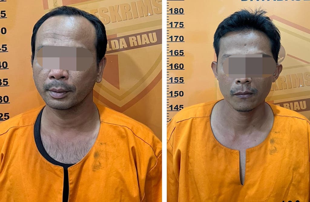 Dua Pelaku Perambahan Hutan Lindung di Bukit Rimbang Baling Ditangkap Polda Riau