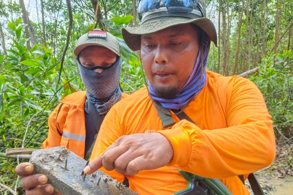 Operasi Senyap, Petugas Gabungan Kena Ranjau Paku Perambah Hutan
