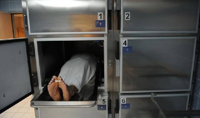 Terus Bertambah, Kasus DBD di Pekanbaru Mencapai 386