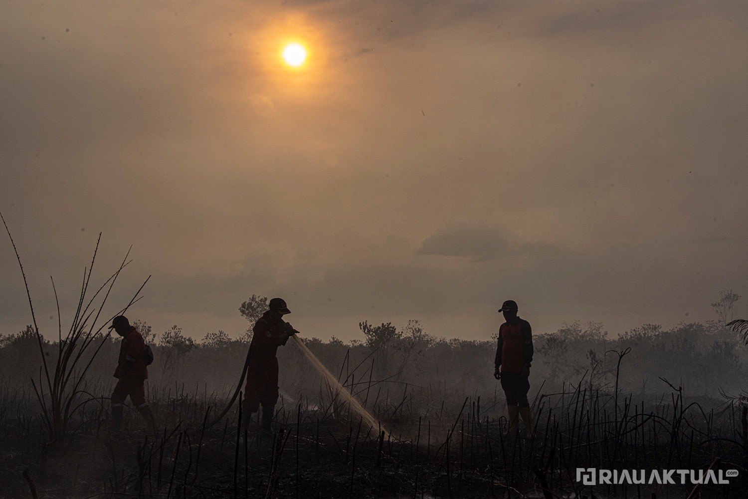 383 Titik Panas Terpantau di Riau, Rokan Hilir Terbanyak