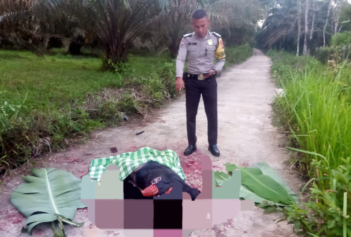 Geger! Mayat Pria Ditemukan Tewas Bersimbah Darah di Kuansing