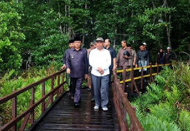 Pemkab Akan Bangun Pusat Penelitian Mangrove di Pantai Solop