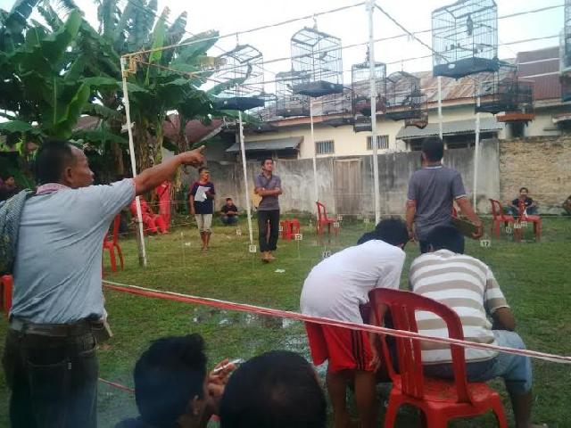 Kontes Burung Berkicau Diharap Masuk Kalender Pariwisata