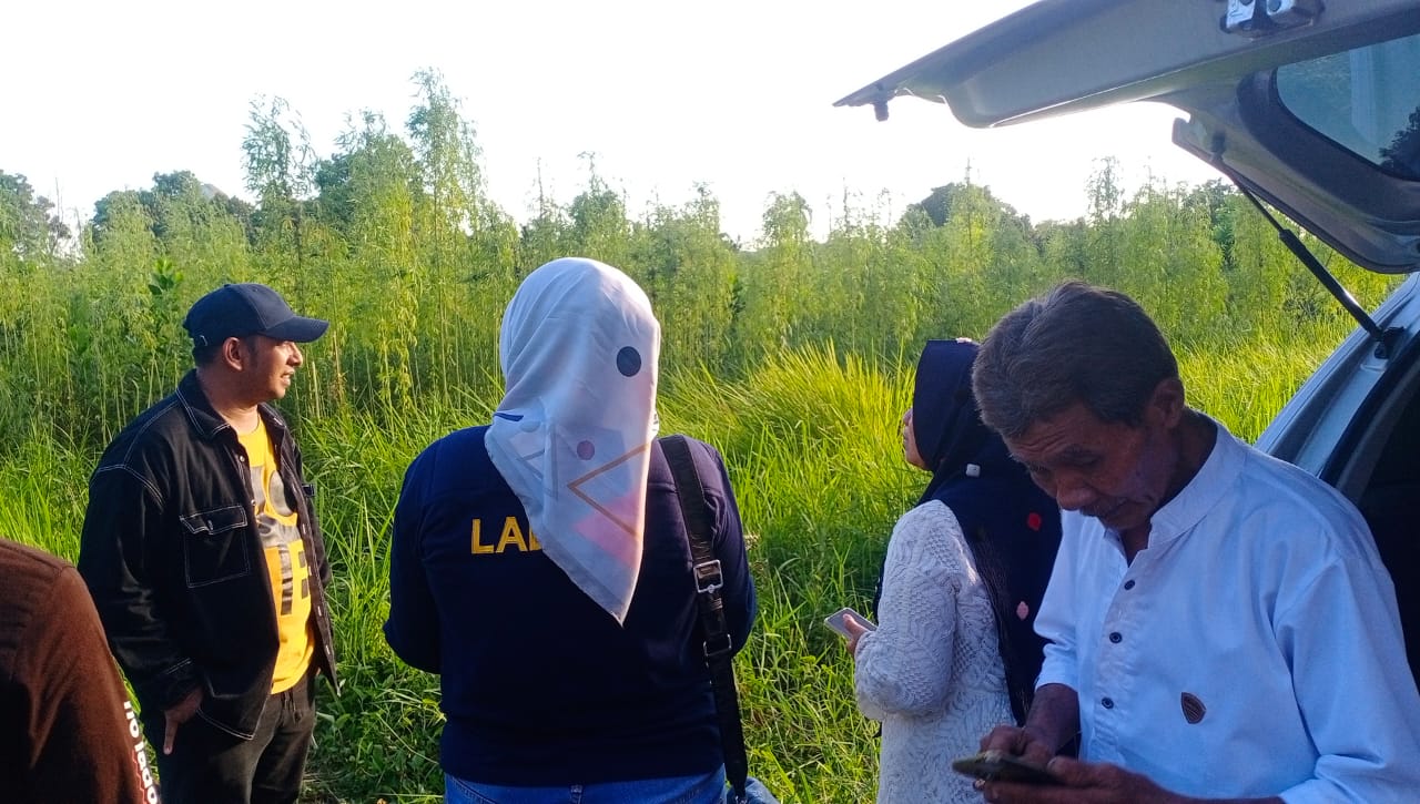 Warga Pekanbaru Temukan Ratusan Tanaman Mirip Ganja, Polisi Pastikan Bukan Narkotika