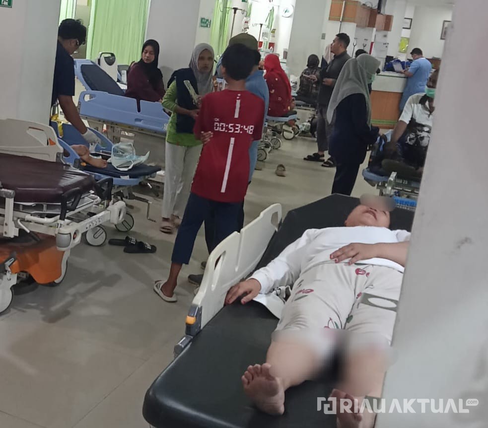 Warga Tenayan Raya Diserang Anjing Liar, 5 Orang Dilarikan Ke Rumah Sakit