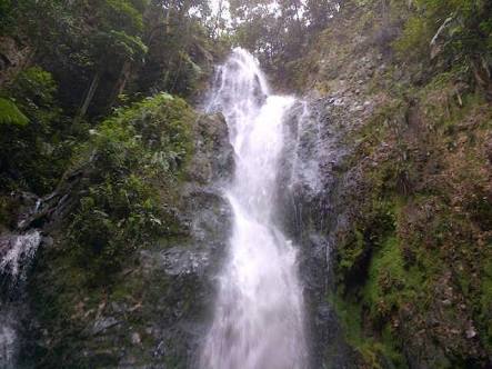 Disparbud Kuansing, Sosialisasikan Pengelolaan Home Stay