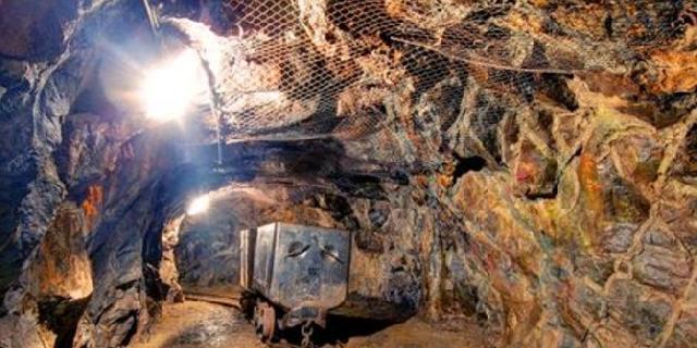 4 Dampak Mengkhawatirkan saat Ekspor Kekayaan Alam RI Dipermudah