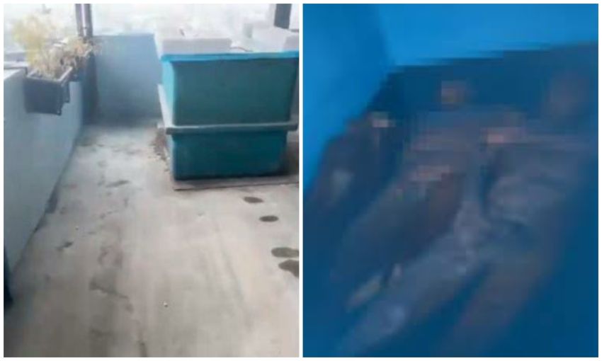 Berawal dari Video Viral Mahasiswa, Berikut Kronologis Penemuan Lima Mayat Tanpa Identitas di Kampus UNPRI