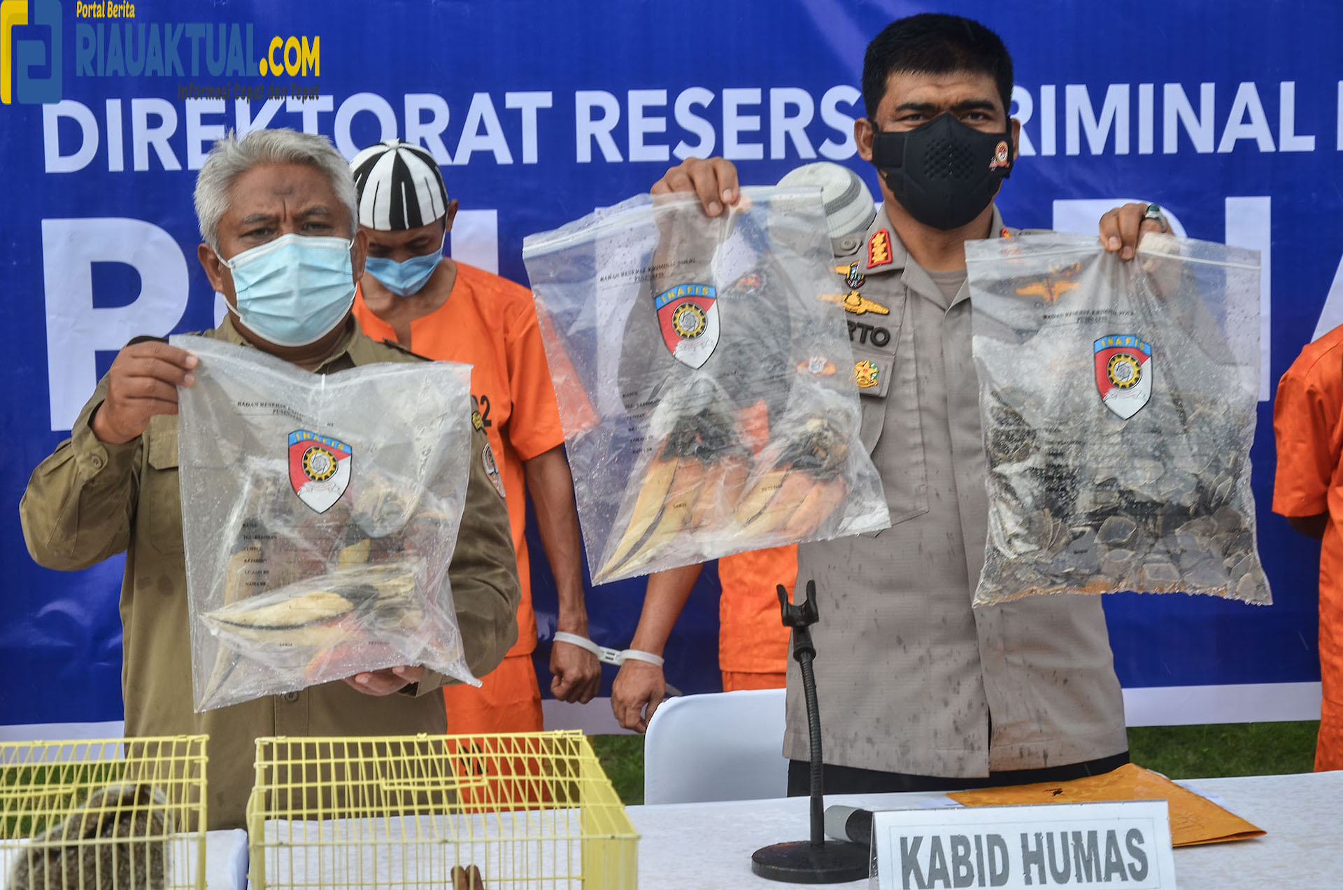 Tunggu Pembeli, Penjual 15 Kg Sisik Trenggiling Ditangkap Polda Riau 