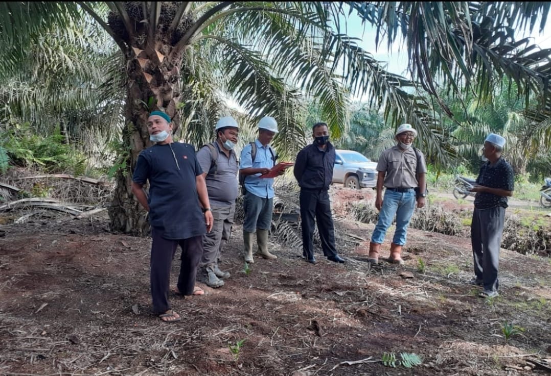 SK Bupati Bengkalis Tentang Pemilik Kebun Plasma Koperasi BBDM - PT SDA Sah Secara Hukum dan UU Perkoperasian