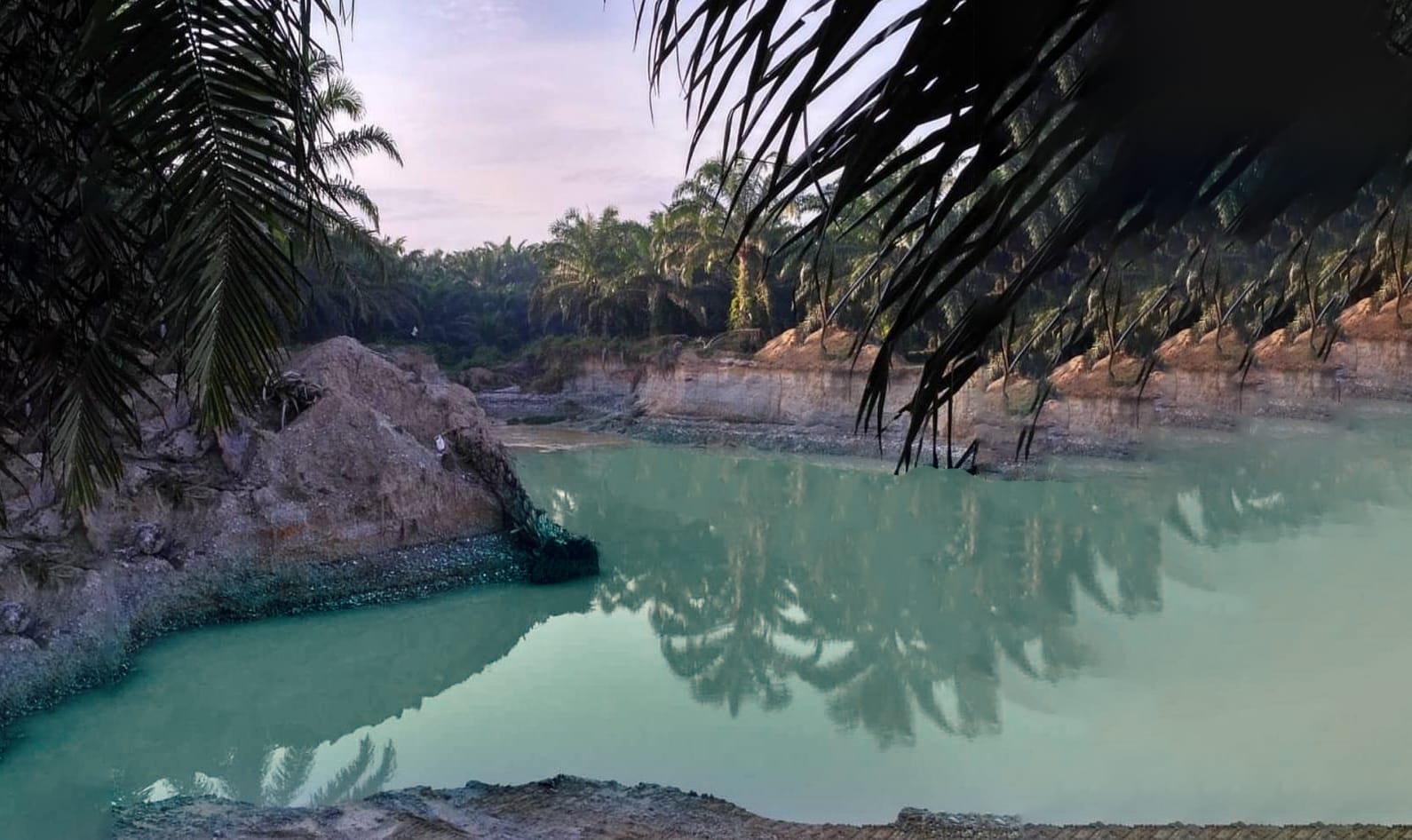 PTPN V: Kegiatan Eksplorasi Sesuai Regulasi