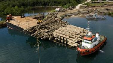 Dit Polairda Kembali Tangkap Kapal Kayu