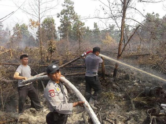 Hari Ketiga, Karhutla Air Hitam Pekanbaru Berhasil Dipadamkan