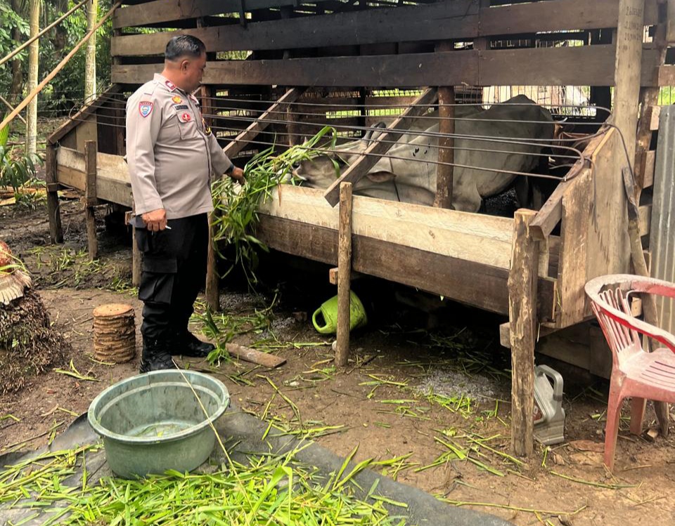 Bhabinkamtibmas Pematang Ibul Lakukan Pembinaan Ketahanan Pangan