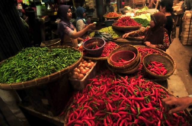 Tekan Harga, Pemprov Riau Harus Usulkan Buka Kran Impor Kepada Pusat