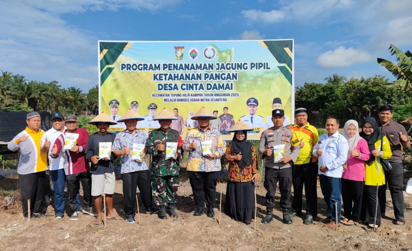 Polsek Tapung Hilir Tanam Jagung di Cinta Damai