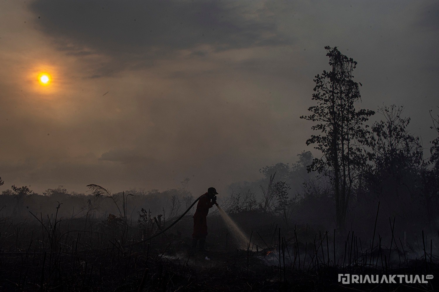163 Titik Panas Terdeteksi di Riau, Rokan Hilir dan Bengkalis Terbanyak