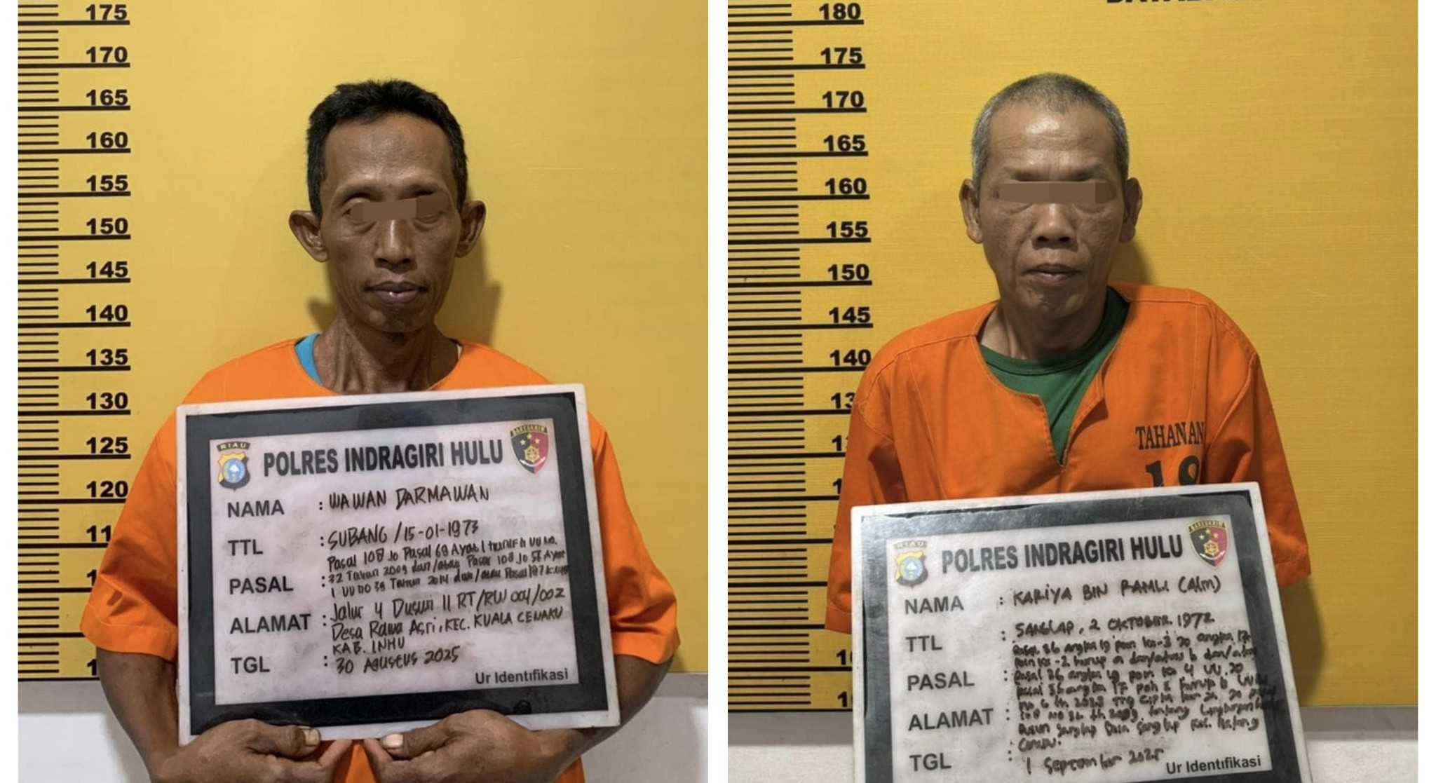 Bakar Lahan, Dua Warga Indragiri Hulu Ditangkap Polisi