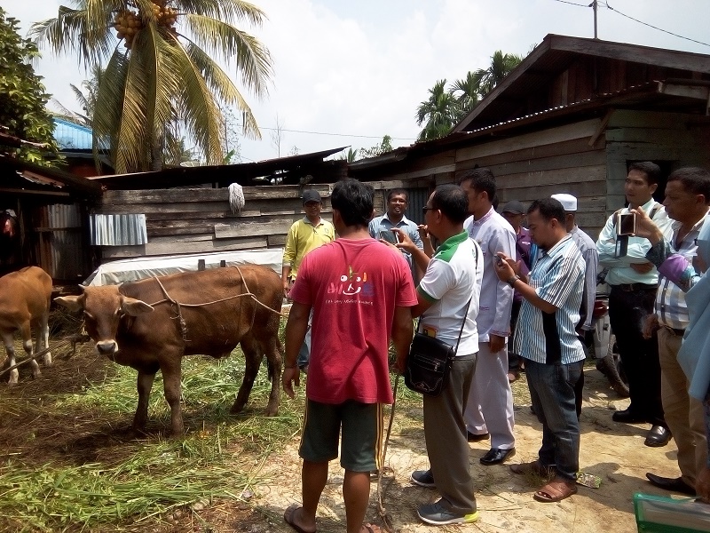 Dinas Pertanian Kabupaten Bengkalis Sosialisasi Penyembelihan Hewan Qurban Tahun 1438 H