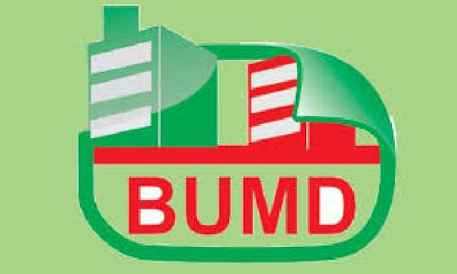 Ternyata Hanya Dua BUMD yang Berkontribusi