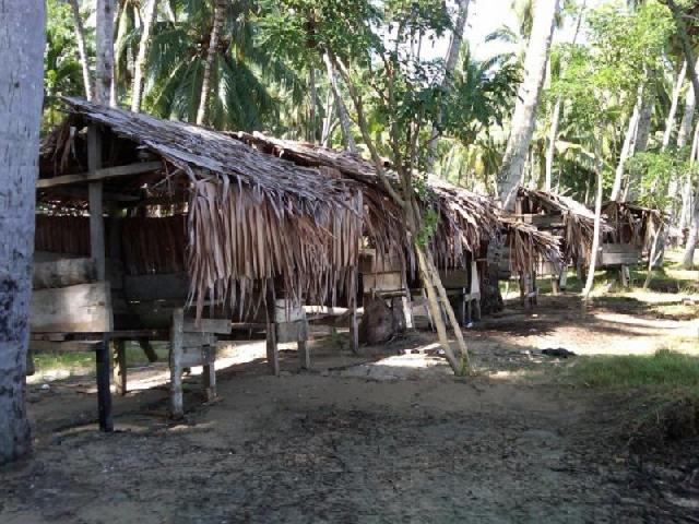 Dewan Minta Hancurkan Kamar Tempat Mesum di Sekitaran Terminal AKAP Pekanbaru