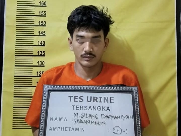 Pemuda Desa Tani Makmur di Inhu Nekat Curi Sawit Perusahaan untuk Beli Narkoba