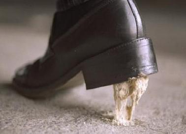 Awas ! Bakteri Nyaman Berada di dalam Sepatu