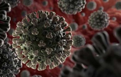 Tiga Kelemahan Virus COVID-19 Akhirnya Berhasil Diketahui, Ini Dia