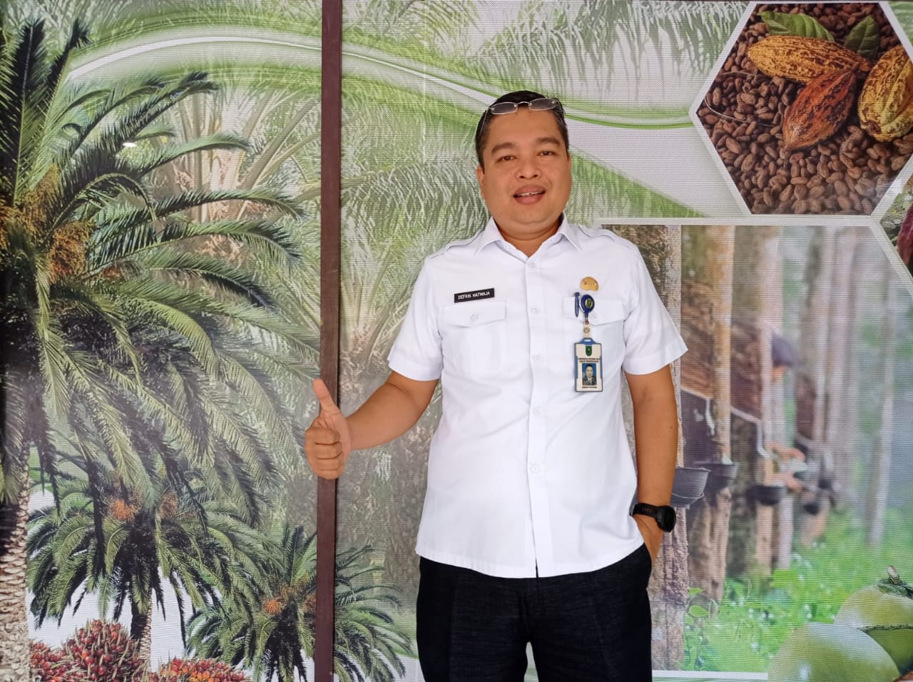 Nyaris Tembus Rp 4.000/Kg, Harga Sawit di Riau Tertinggi di Indonesia