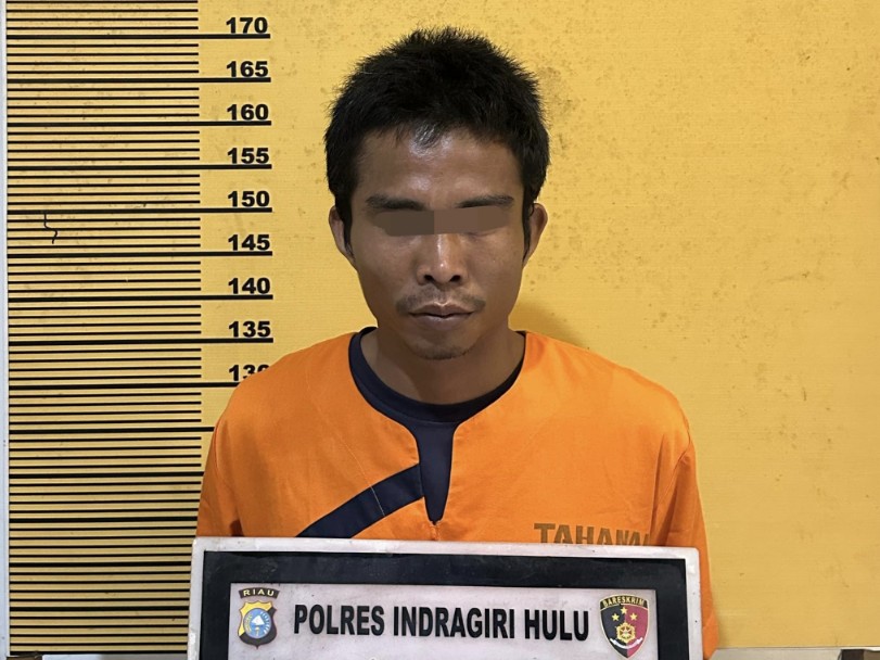 Terpantau Dashboard Lancang Kuning Bakar Lahan, Pria di Inhu Diciduk Polisi