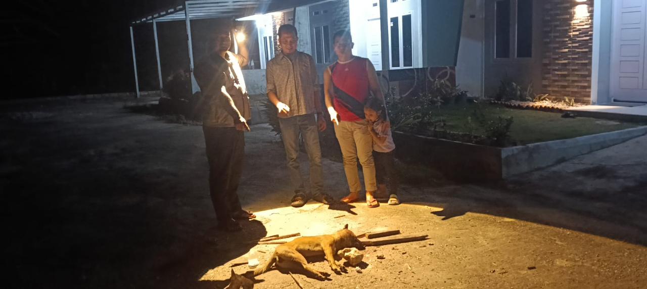 Kasus Rabies di Tenayan Raya, Dinas PKH Riau Gelar Vaksinasi Darurat